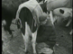 75 jaar Leeuwarder veemarkt