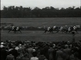 Sport: horse racing